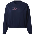 VECTOR NAVY